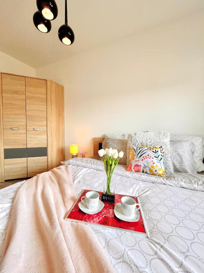 Downtown Apartments Family&Friends رشيشوف المظهر الخارجي الصورة